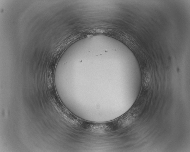 X0000053050414200508011853