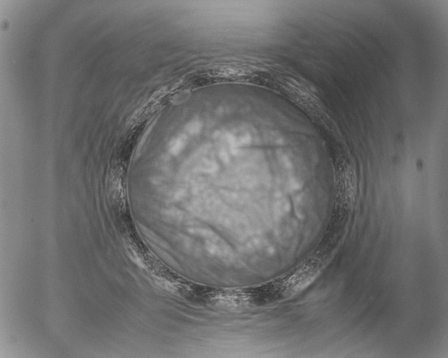 X0000053050415200508011853