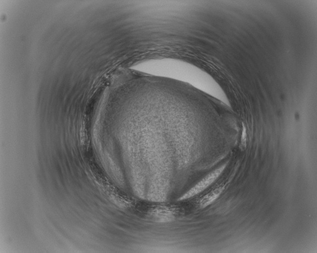 X0000053050416200508011853