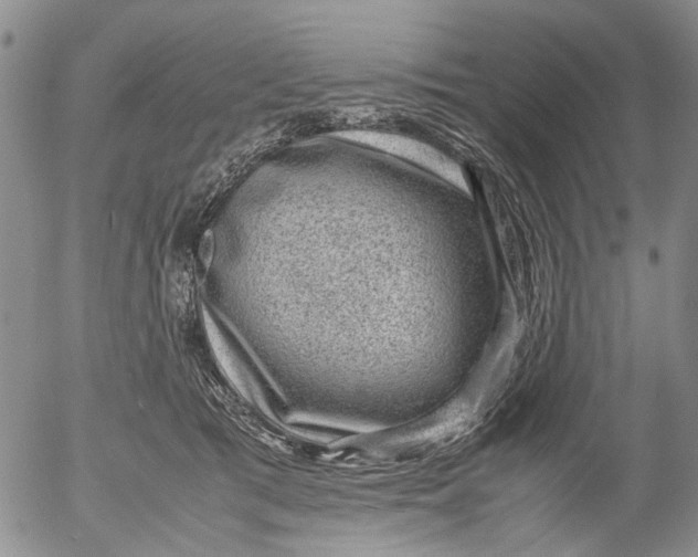 X0000053050417200508011853