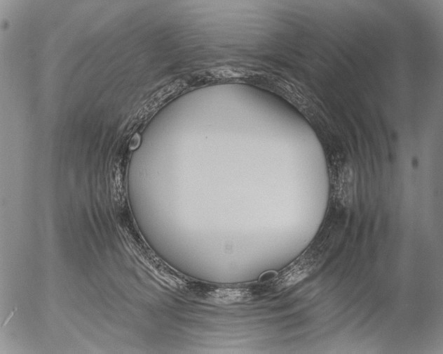 X0000053050418200508011853