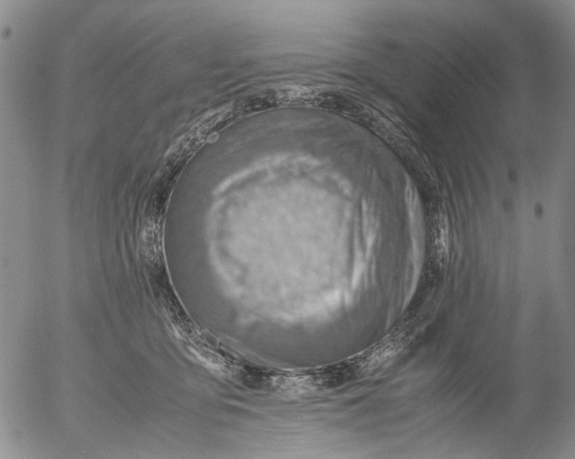 X0000053050419200508011853