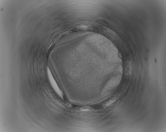 X0000053050420200508011853