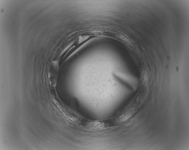 X0000053050421200508011853