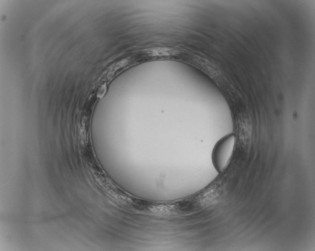 X0000053050422200508011853