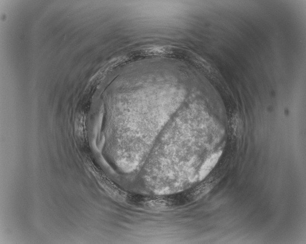 X0000053050423200508011853