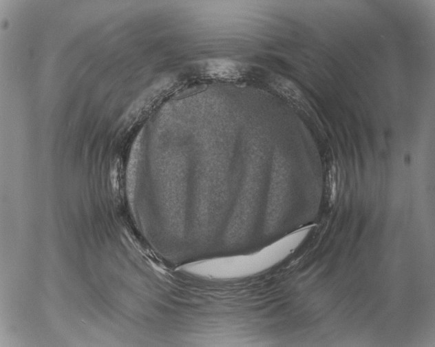 X0000053050424200508011853