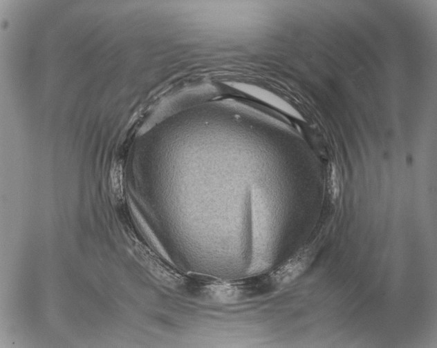 X0000053050425200508011853