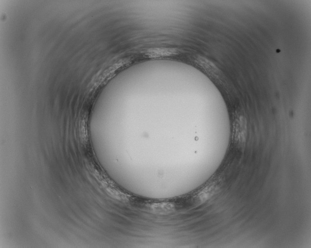 X0000053050426200508011853