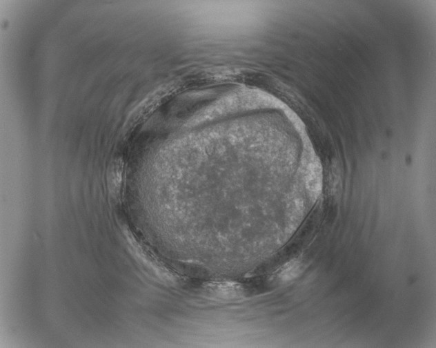 X0000053050427200508011853