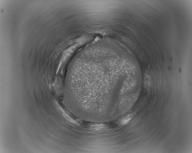 X0000053050428200508011853