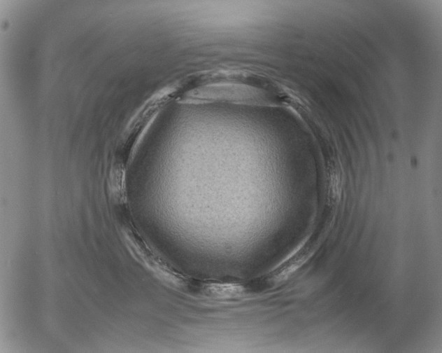 X0000053050429200508011853