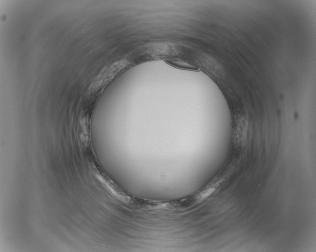 X0000053050430200508011853