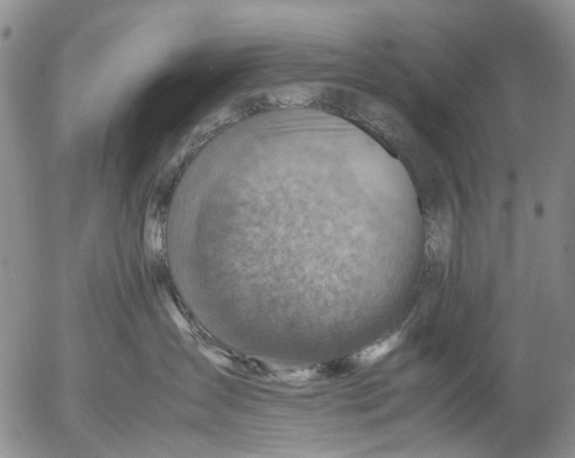 X0000053050431200508011852