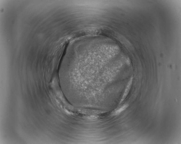 X0000053050432200508011852