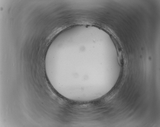 X0000053050433200508011852