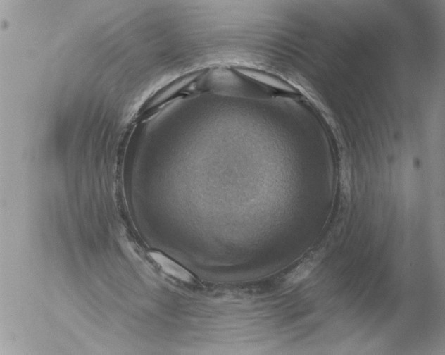 X0000053050434200508011852