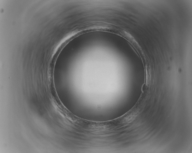 X0000053050435200508011852