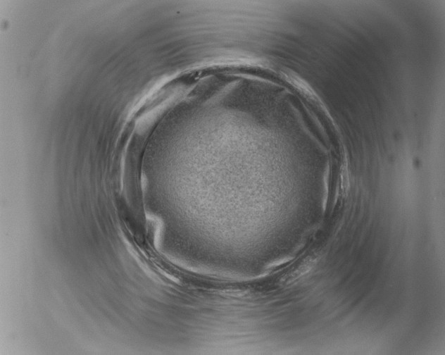 X0000053050436200508011852