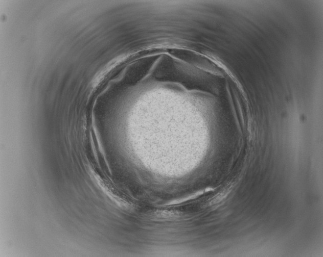 X0000053050437200508011852