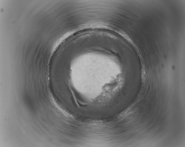 X0000053050438200508011852