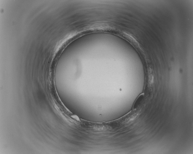 X0000053050439200508011852