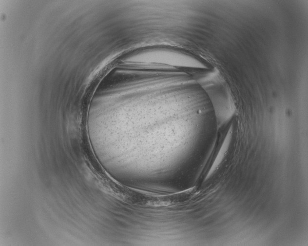 X0000053050440200508011852