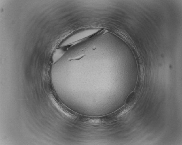 X0000053050441200508011852