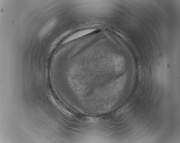 X0000053050442200508011852