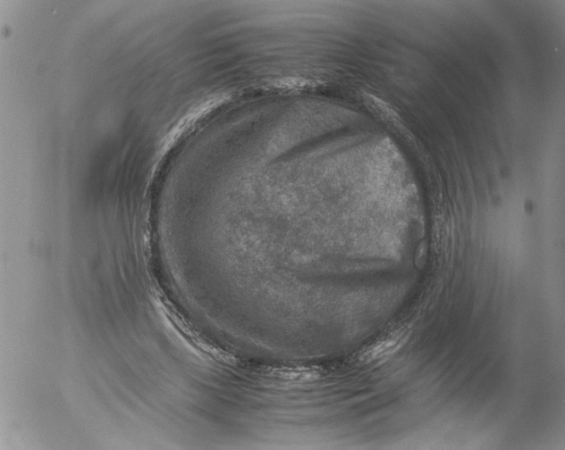 X0000053050443200508011852