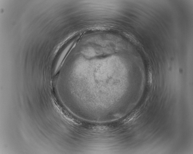 X0000053050444200508011852