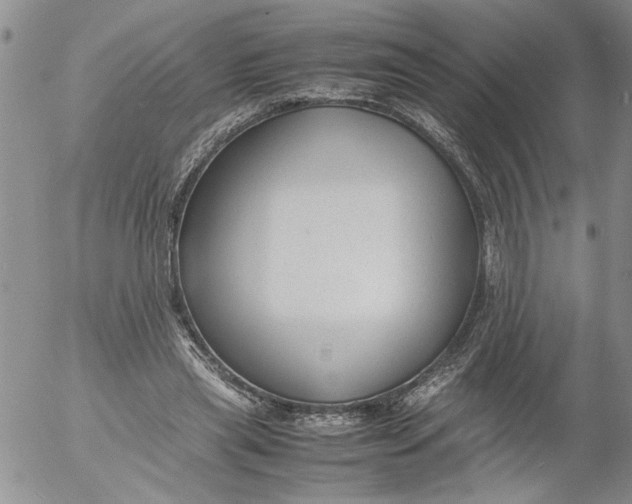 X0000053050445200508011852