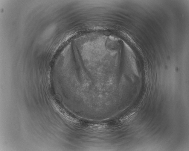 X0000053050447200508011852