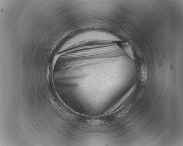 X0000053050448200508011852