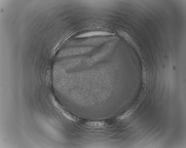 X0000053050449200508011852