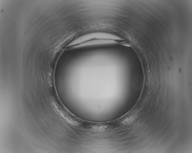 X0000053050450200508011852