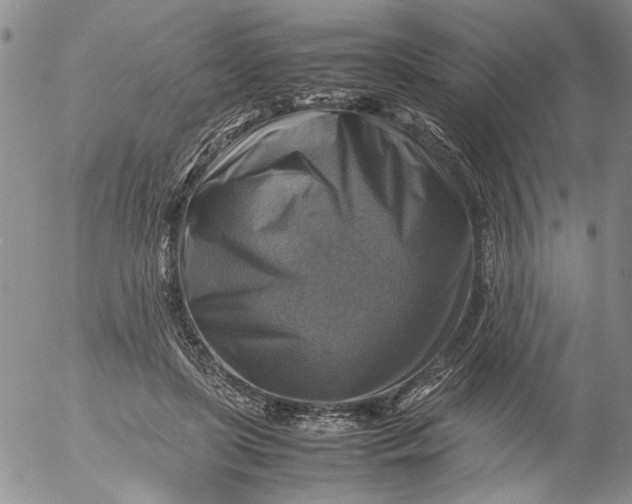 X0000053050451200508011852