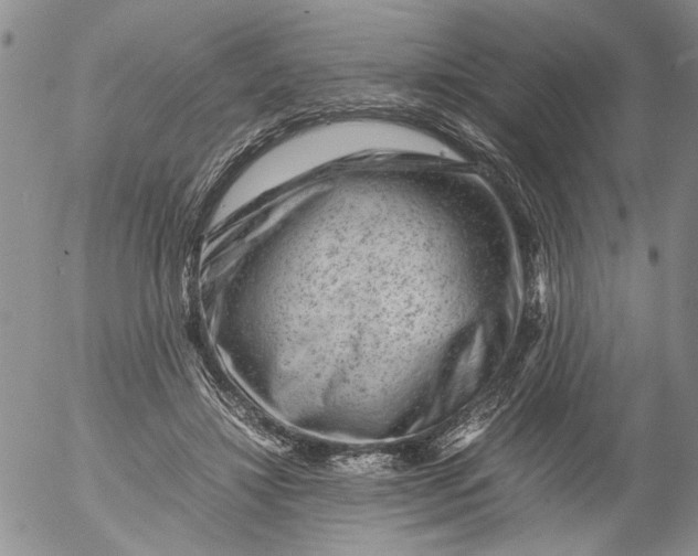 X0000053050452200508011852