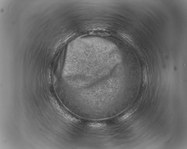 X0000053050453200508011852