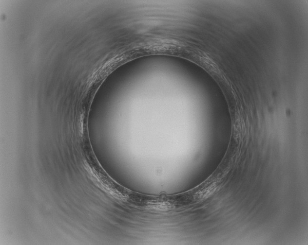 X0000053050454200508011852