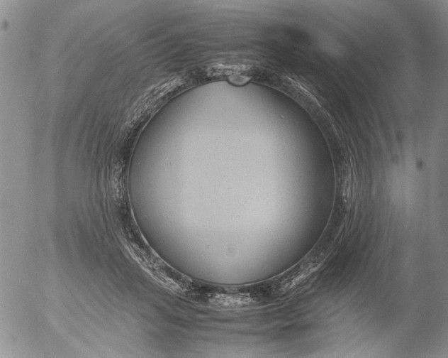 X0000053050455200508011852