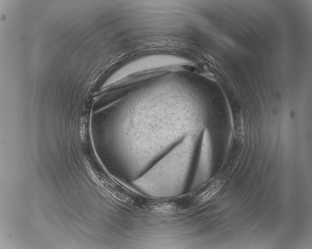 X0000053050456200508011852