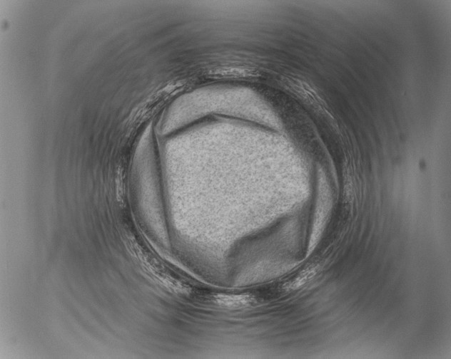 X0000053050457200508011852