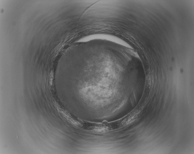 X0000053050458200508011852