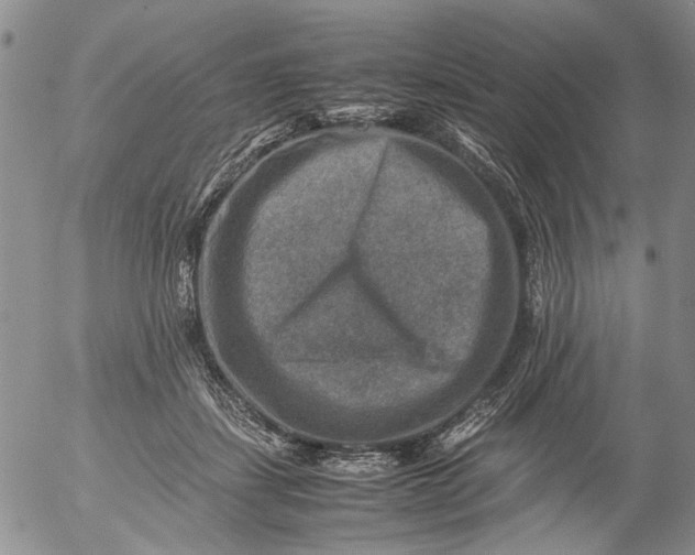 X0000053050459200508011852