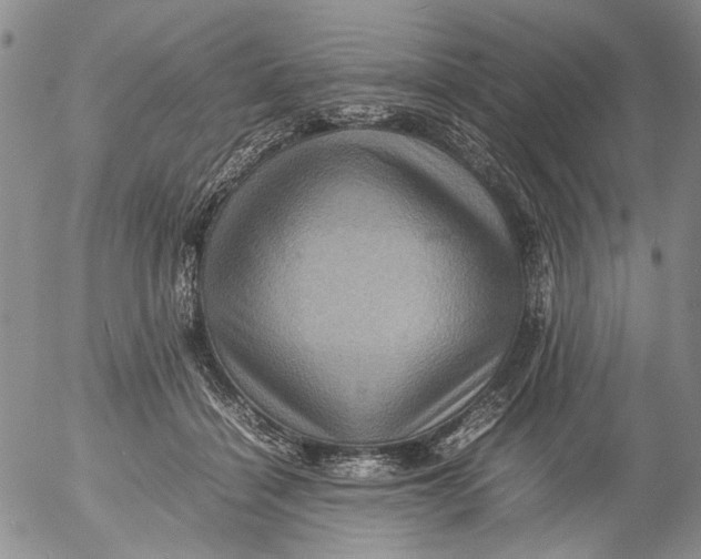 X0000053050460200508011852