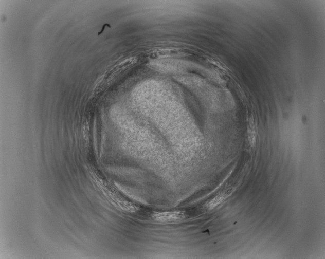 X0000053050461200508011852