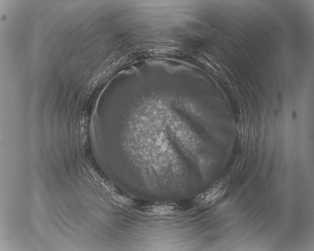 X0000053050462200508011852