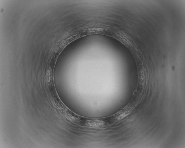 X0000053050463200508011852