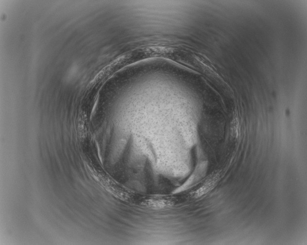 X0000053050464200508011852